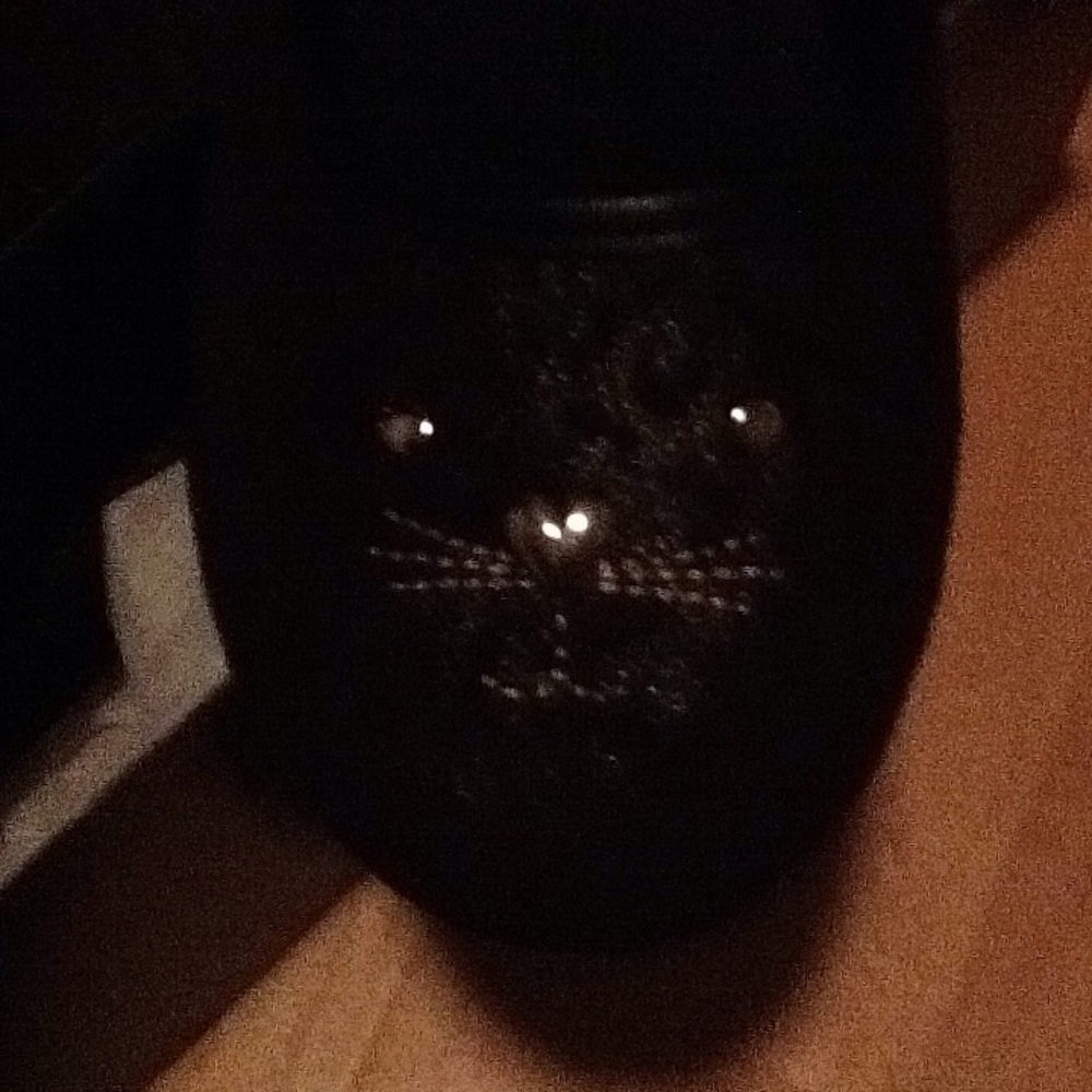 Nwt kitty flat kids  size 5